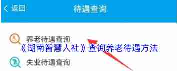 湖南智慧人社如何测算养老金-湖南智慧人社怎样计算养老金