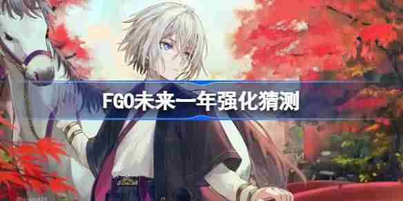 FGO未来一年该怎么选择强化-FGO未来一年强化猜测 