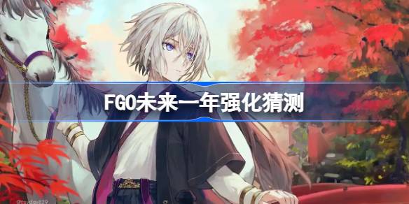 FGO未来一年该怎么选择强化-FGO未来一年强化猜测