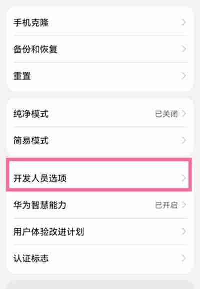 鸿蒙系统的开发者选项在什么地方
