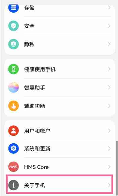 鸿蒙系统的开发者选项在什么地方