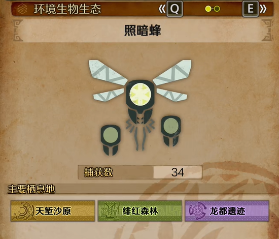 怪物猎人荒野照暗蜂在哪里