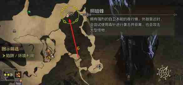 怪物猎人荒野照暗蜂在哪里