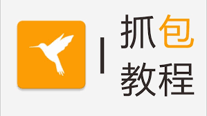 黄鸟抓包app怎么用-黄鸟抓包app使用方法