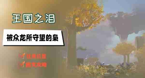 王国之泪被众龙所守望的枭任务怎么做-被众龙所守望的枭任务图文攻略