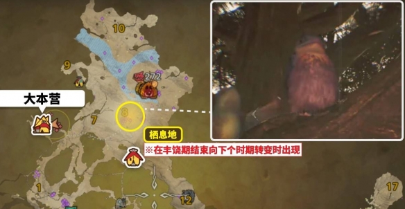 怪物猎人荒野美声歌鸮在哪里