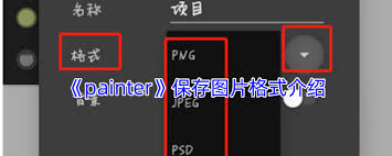 painter支持什么文件格式保存