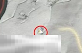 燕云十六声念此吞声仰诉天成就怎么完成 巢中思绪收集位置攻略