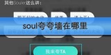 soul夸夸墙在哪里