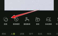 醒图怎么把抠出来的图放到另一张图上