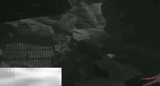 无限机兵死树林结露精髓收集路线 死树林结露精髓位置攻略