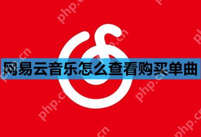 网易云音乐怎么查看购买单曲