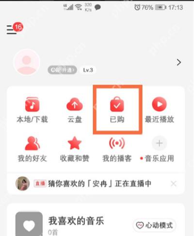 网易云音乐怎么查看购买单曲