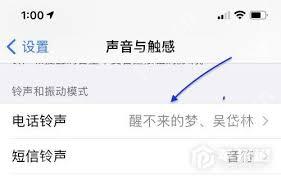 苹果怎么设置短信自定义铃声教程