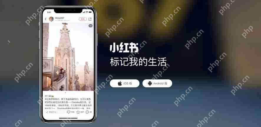 小红书live图不动怎么办