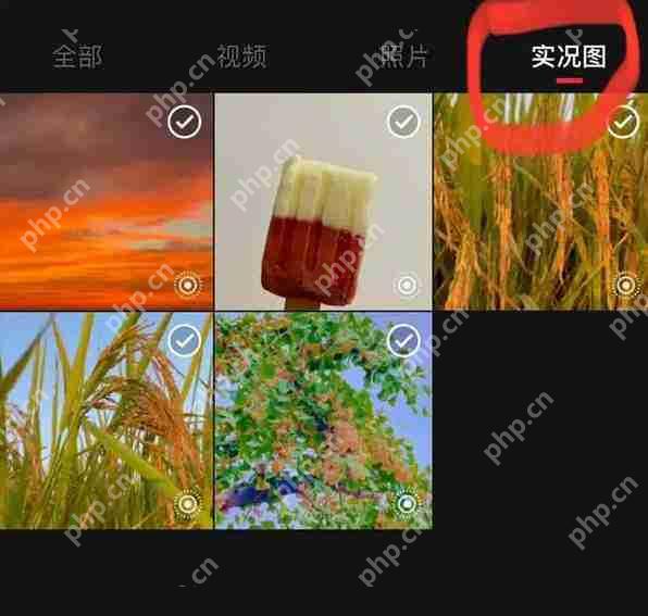 小红书怎么发live图