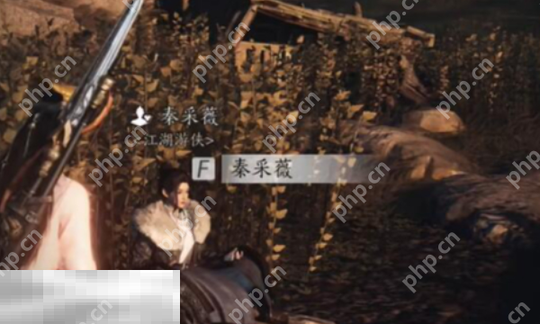燕云十六声秦采薇怎么结交 秦采薇对话结交攻略