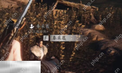 燕云十六声秦采薇怎么结交 秦采薇对话结交攻略