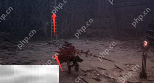 第一狂战士卡赞人类塞伦斯攻略 全流程攻略