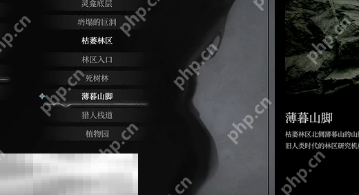 无限机兵侵蚀机兵对剑收集指南 武器获取位置分享