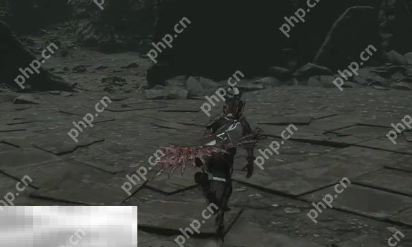 无限机兵侵蚀机兵对剑收集指南 武器获取位置分享