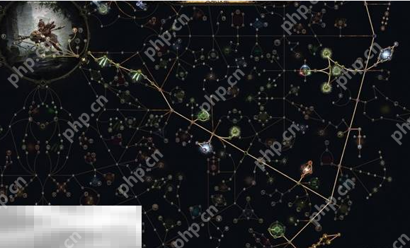 流放之路2亚马逊电矛BD怎么玩 电矛流派优化指南