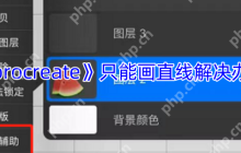 Procreate突然只能画直线？5个快速解决方法亲测有效