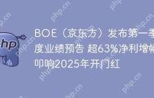 BOE(京东方)发布第一季度业绩预告 超63%净利增幅叩响2025年开门红