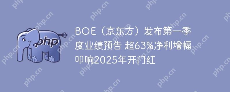 boe（京东方）发布第一季度业绩预告 超63%净利增幅叩响2025年开门红