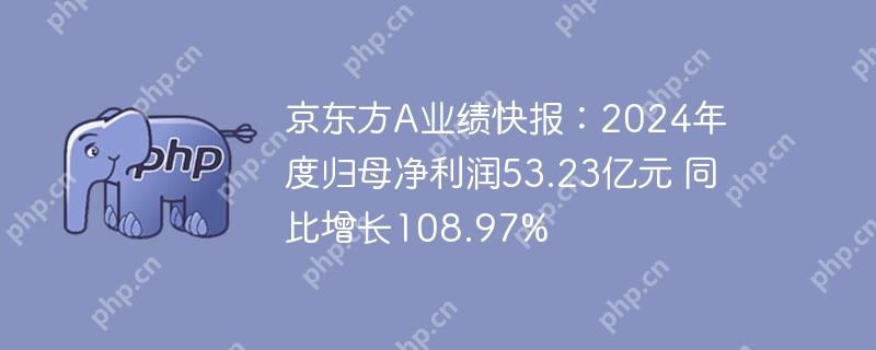 京东方a业绩快报:2024年度归母净利润53.23亿元 同比增长108.97%