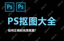 PS 如何创建剪贴蒙版并灵活运用