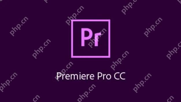 Linux系统通过虚拟机安装PremierePro的方法