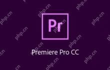 Linux系统通过虚拟机安装PremierePro的方法