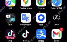 Safari阅读模式怎么固定？常启阅读器视图方法