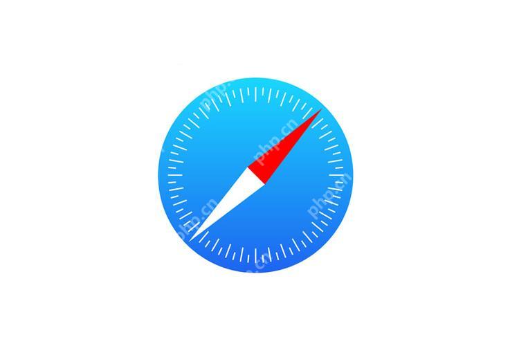 Safari怎么切换Wi-Fi/蜂窝数据?网络优先级设置