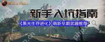 黑光生存进化萌新武器如何选择-黑光生存进化萌新选什么武器好