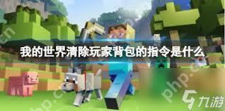 我的世界如何用指令清背包-我的世界指令清背包的方法