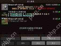 我的世界服务器是干嘛的