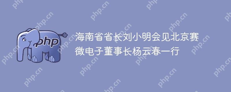 海南省省长刘小明会见北京赛微电子董事长杨云春一行