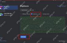 购买正版PhpStorm许可证的流程与注意事项