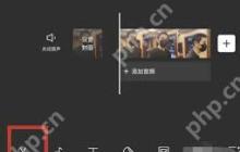 剪映变声功能在哪