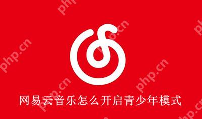 网易云音乐怎么开启青少年模式