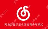 网易云音乐怎么开启青少年模式