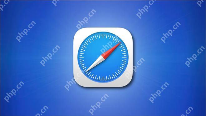 Safari视频播放卡顿怎么解决?缓存与网络优化