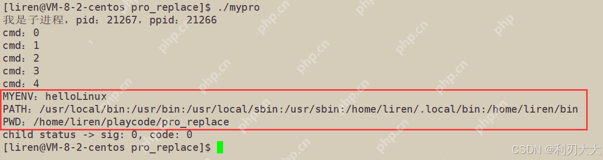 【Linux系统编程】八、进程程序替换