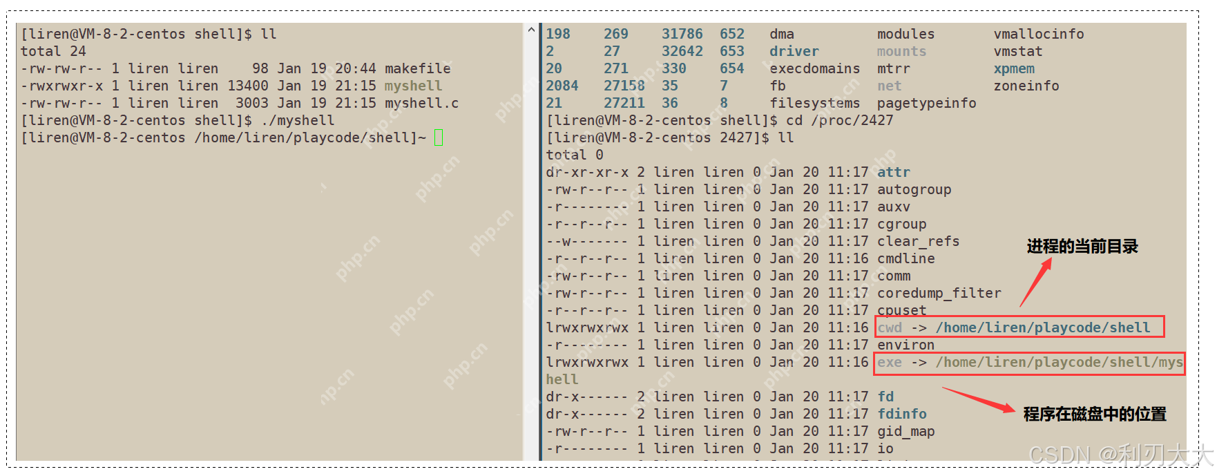 【Linux系统编程】八、进程程序替换