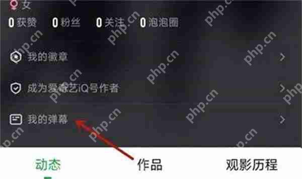 爱奇艺怎么查看自己发了多少弹幕