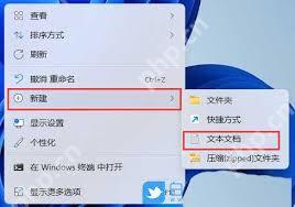Windows11 IE浏览器隐藏如何恢复