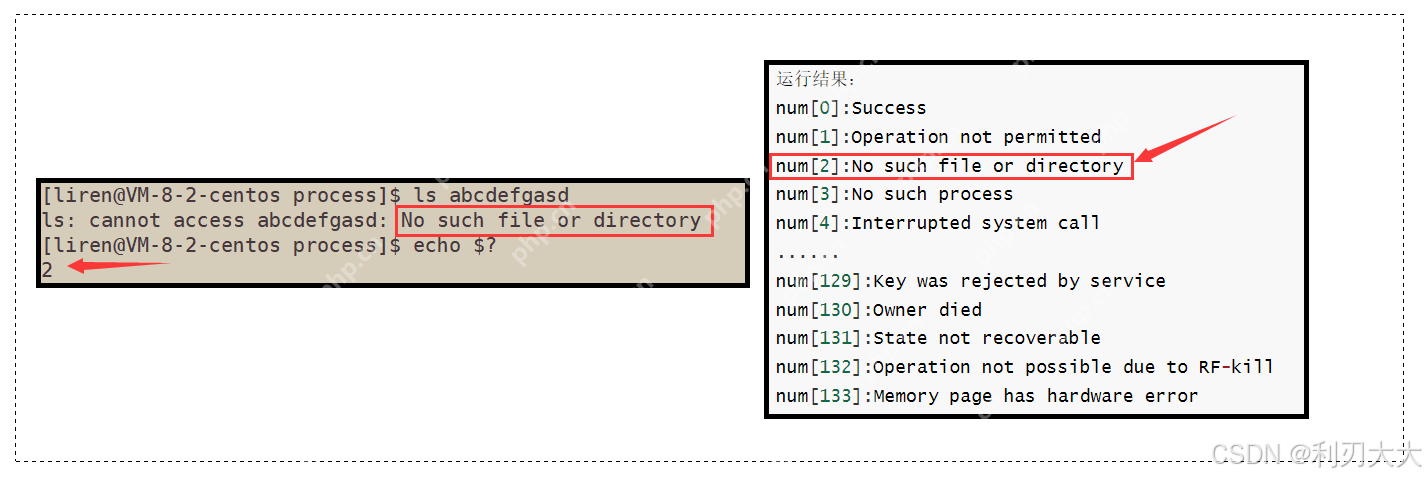 【Linux系统编程】六、进程终止