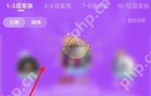 心遇如何查看家族活跃榜